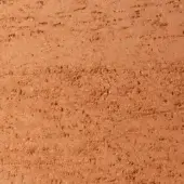 Terracotta clay texture displaying a reddish-brown, porous surface with granular particles and horizontal striations in a matte finish.